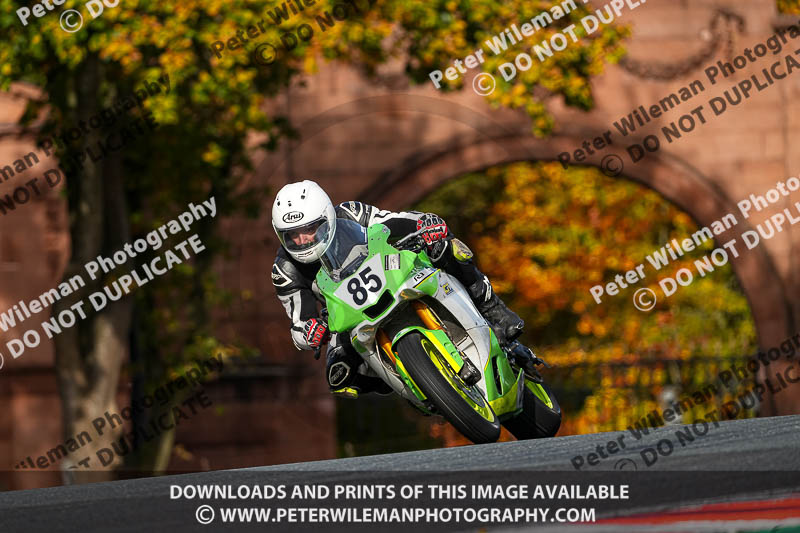anglesey;brands hatch;cadwell park;croft;donington park;enduro digital images;event digital images;eventdigitalimages;mallory;no limits;oulton park;peter wileman photography;racing digital images;silverstone;snetterton;trackday digital images;trackday photos;vmcc banbury run;welsh 2 day enduro